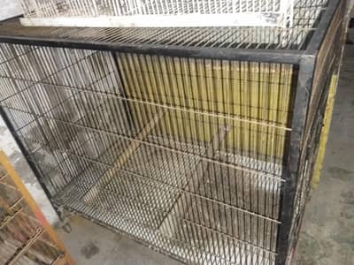 cage /pinjra