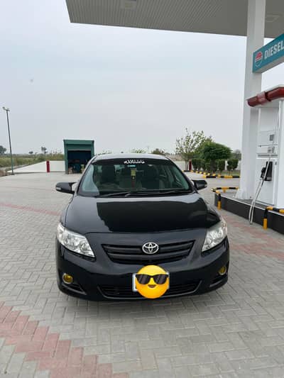 Gli 11 Model black beauty