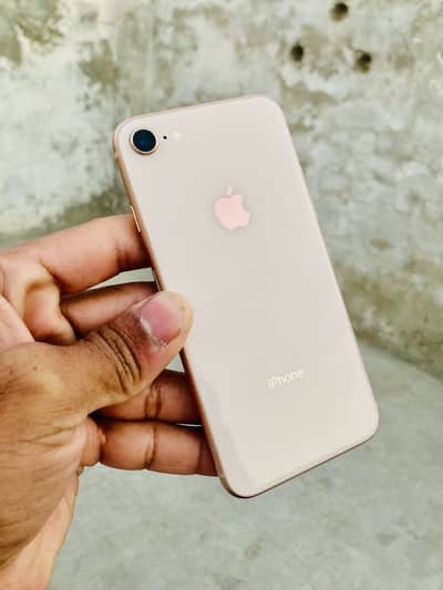 iPhone 8 PTA approved 64 gb pnl chng All ok