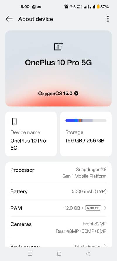 One plus 10 pro.  12/256Gb
