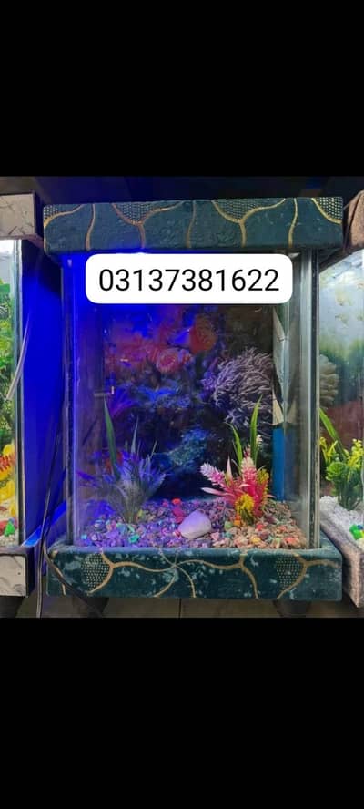 Fish aquarium & fish for sale 03137381622