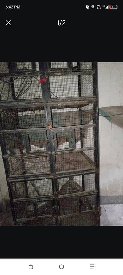 Cage for sale
