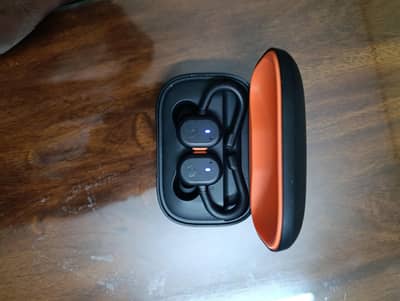 Skull Candy Earbud Original