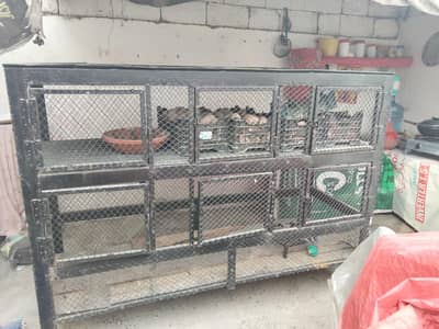 Hen cage 2 partition (Heavy weight)