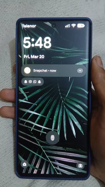 6 pro 8 256 Official PTA Approved Just panel dot