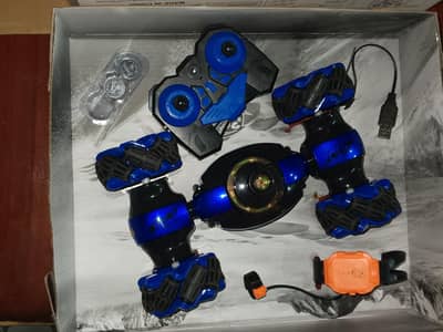 remote and remote control car