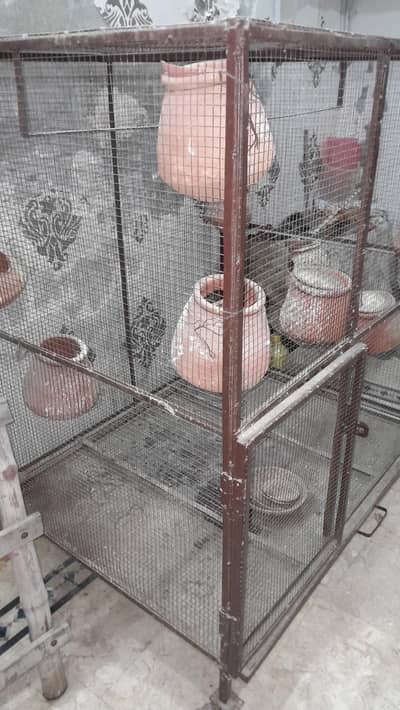 parrot cage size 4×4