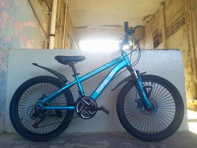SWLS IMPORTED CYCLE - 22 SIZE - 0320/2257/271
