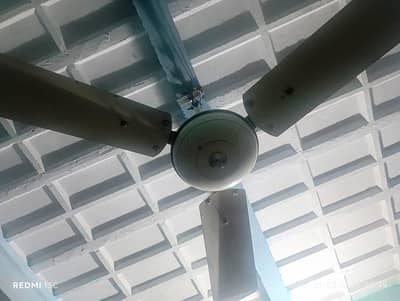 Roof fan