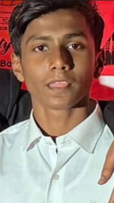 matte black German Shepard good condition