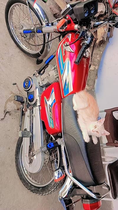 urjent sel honda cg 125 modle 11 contact no +9203115437098