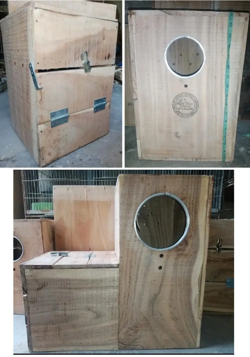 Ringneck,sunconure & Raw breeding kiker box