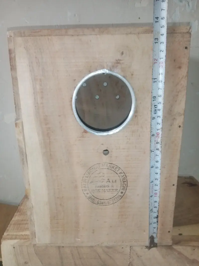 Ringneck,sunconure & Raw breeding kiker box — photo 3