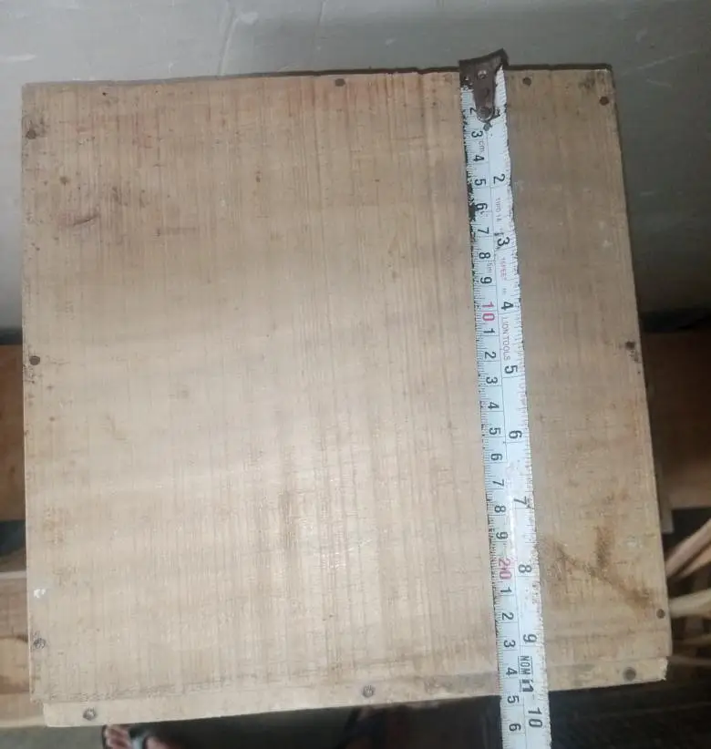 Ringneck,sunconure & Raw breeding kiker box — photo 4