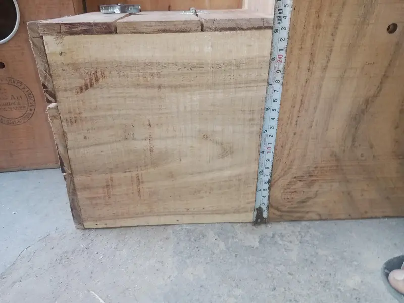 Ringneck,sunconure & Raw breeding kiker box — photo 8