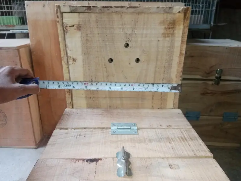Ringneck,sunconure & Raw breeding kiker box — photo 9
