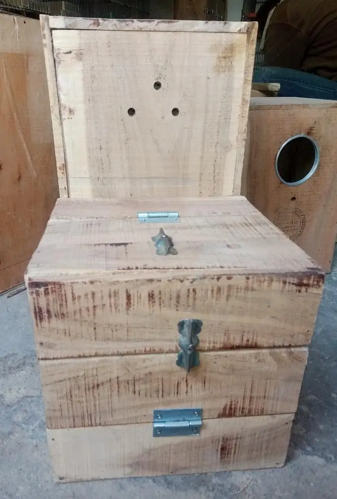 Ringneck,sunconure & Raw breeding kiker box — photo 10