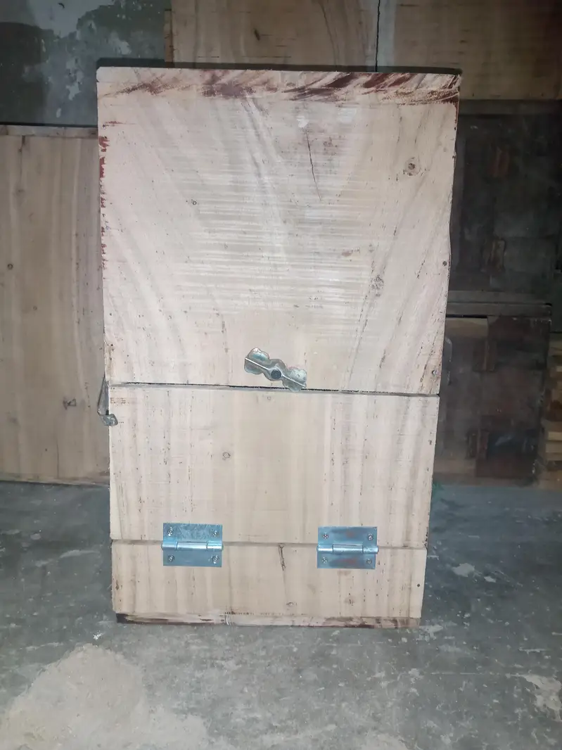Ringneck,sunconure & Raw breeding kiker box — photo 12