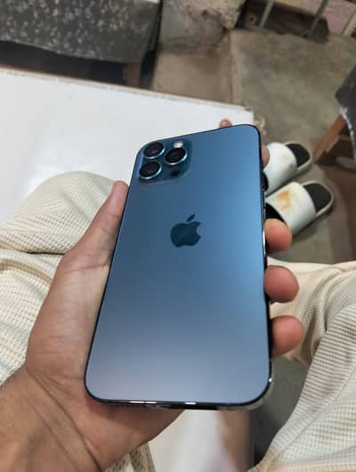 12promax 03174591428 Whtsp nbr