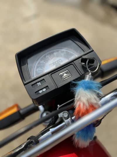 Unique UD 70 special edition gold 2025 for sale