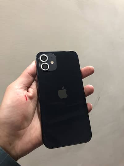 iPhone 12 For Sale
