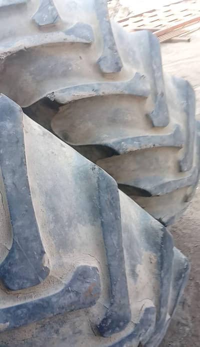 fiat trector tyre for sale