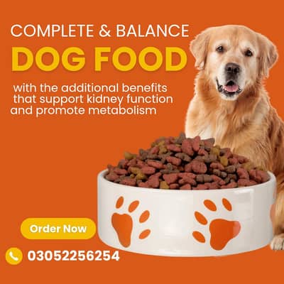 All-in-One Pet Store: Food, Accessories & Health Services