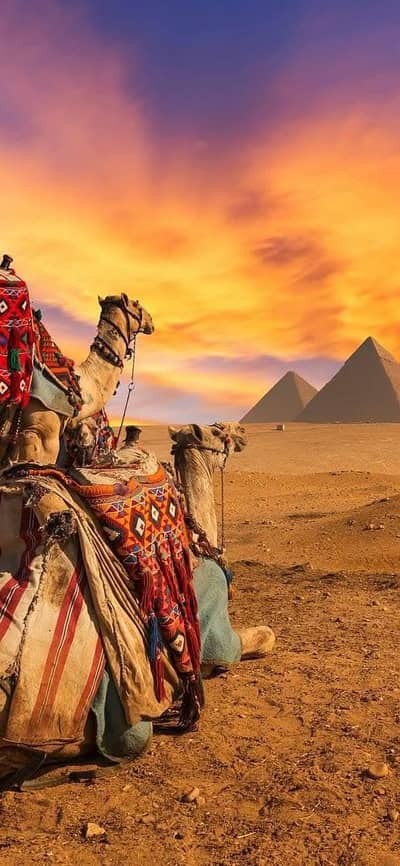 03267946194 ہر طرح کے رشتوں کیلئے اس نمبر پر رابطہ کریں