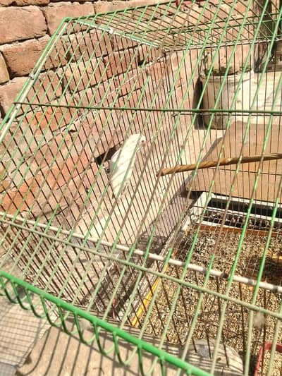 contact number 03207682600