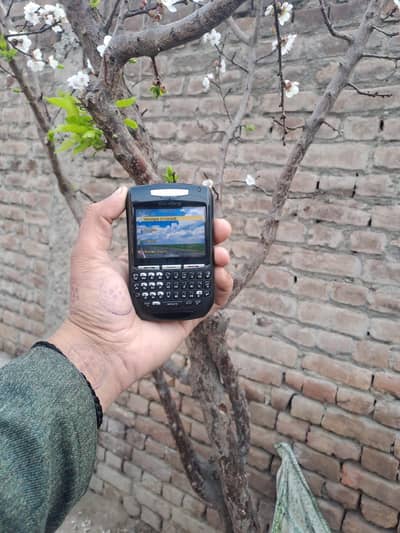 BLACKBERRY OLD COMPUTER  03157731988
