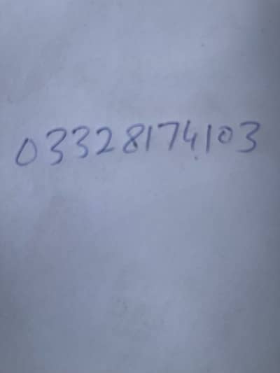 o Shamo white breader pair and chicks for sale