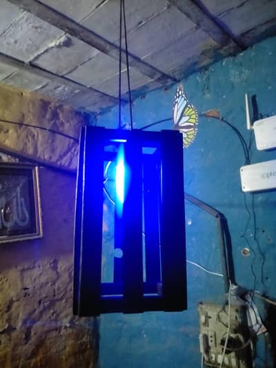 Hanging Lamp