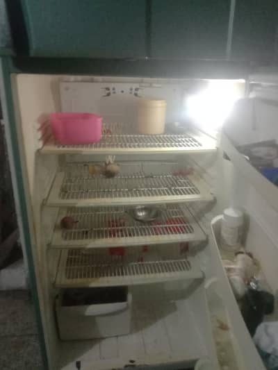 full size peL fridge