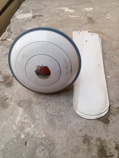 Ceiling Fans for sale