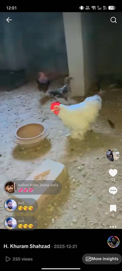 Betum male black and blue