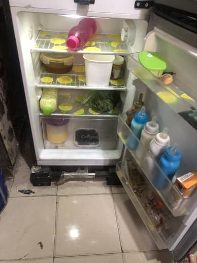 Dowlance refrigerator