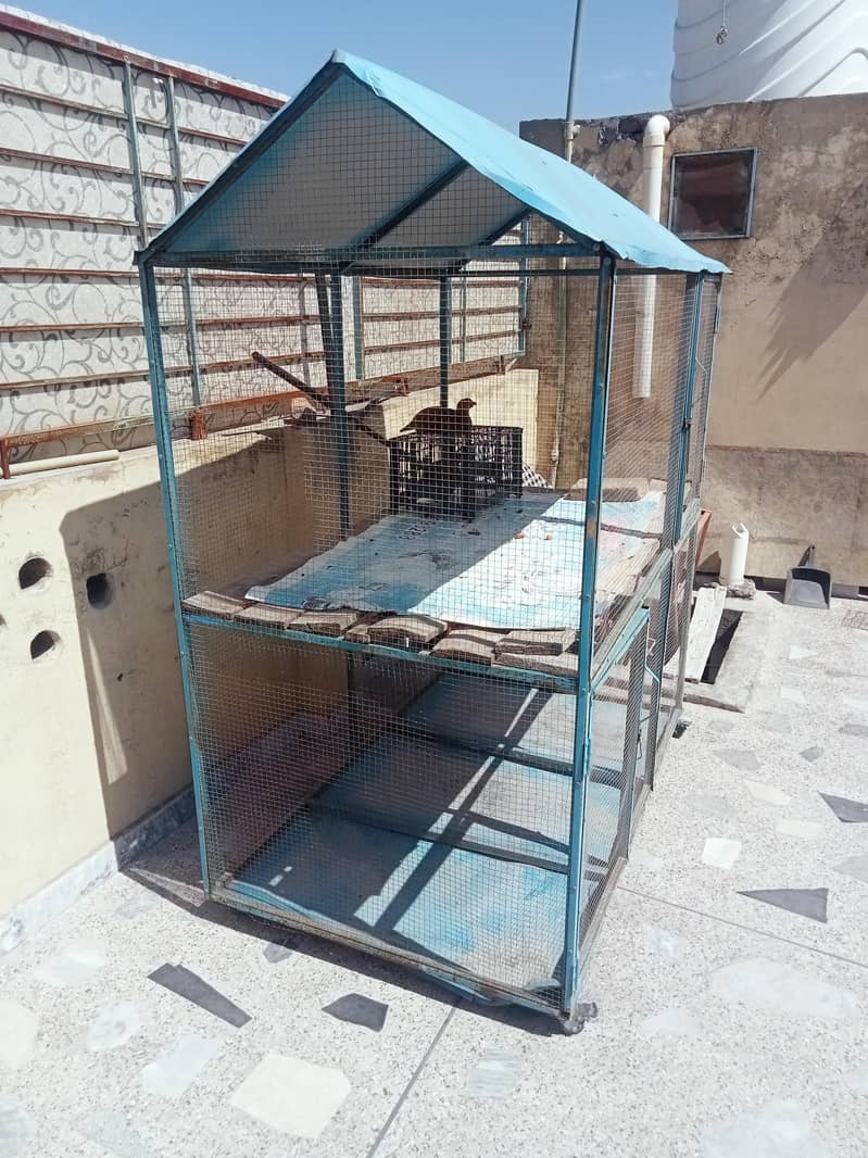 پنجرا فار سیل 1