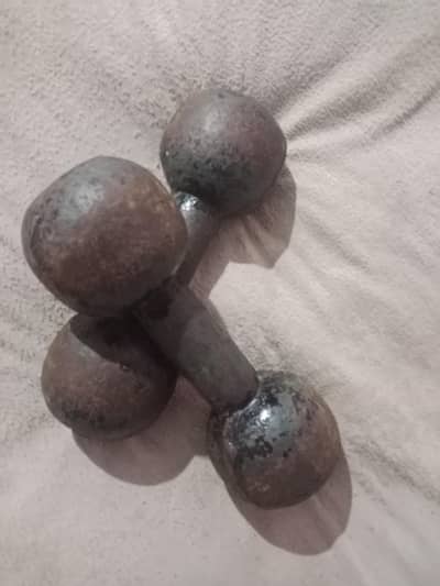 pure iron Desi dumbbell 10 10 kg