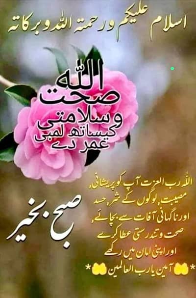 civil engineering or construction expert required