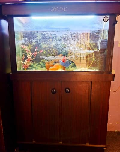 Aquarium for Sale with Fishes,Cabinet & Complete Accessories