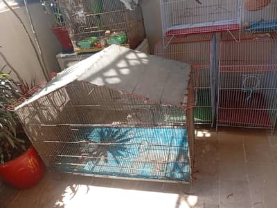 6 Parrot Cages 15000/-