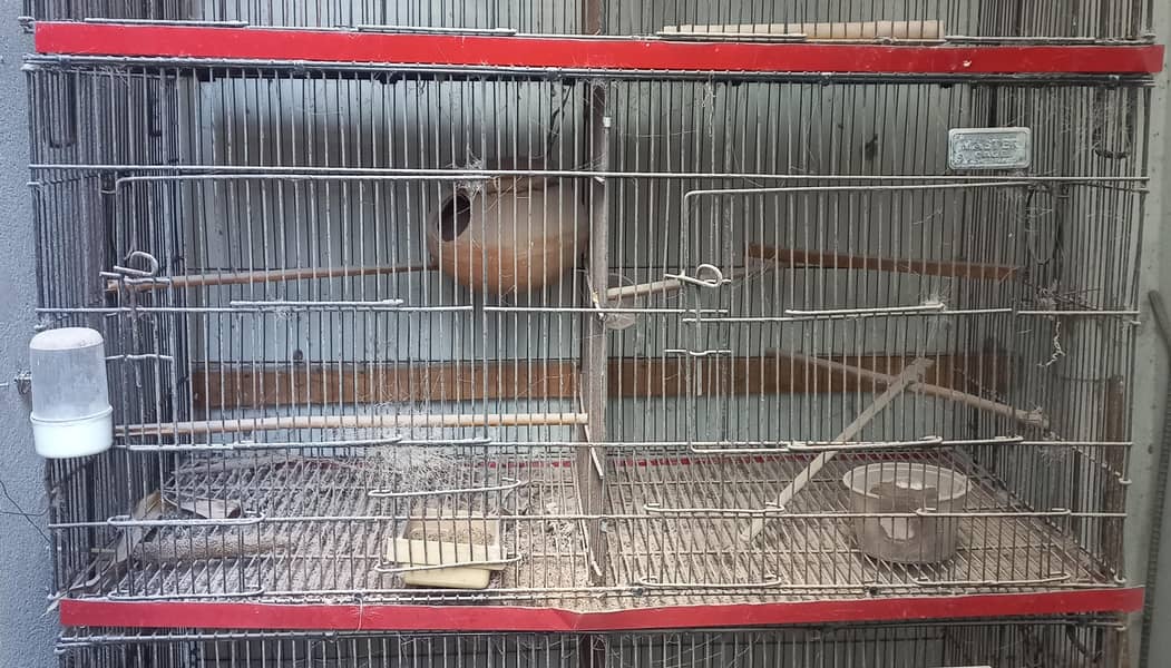 Bird Cages 1