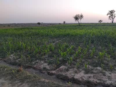 1300 Kanal Agricultural Land For Sale In Chakwal