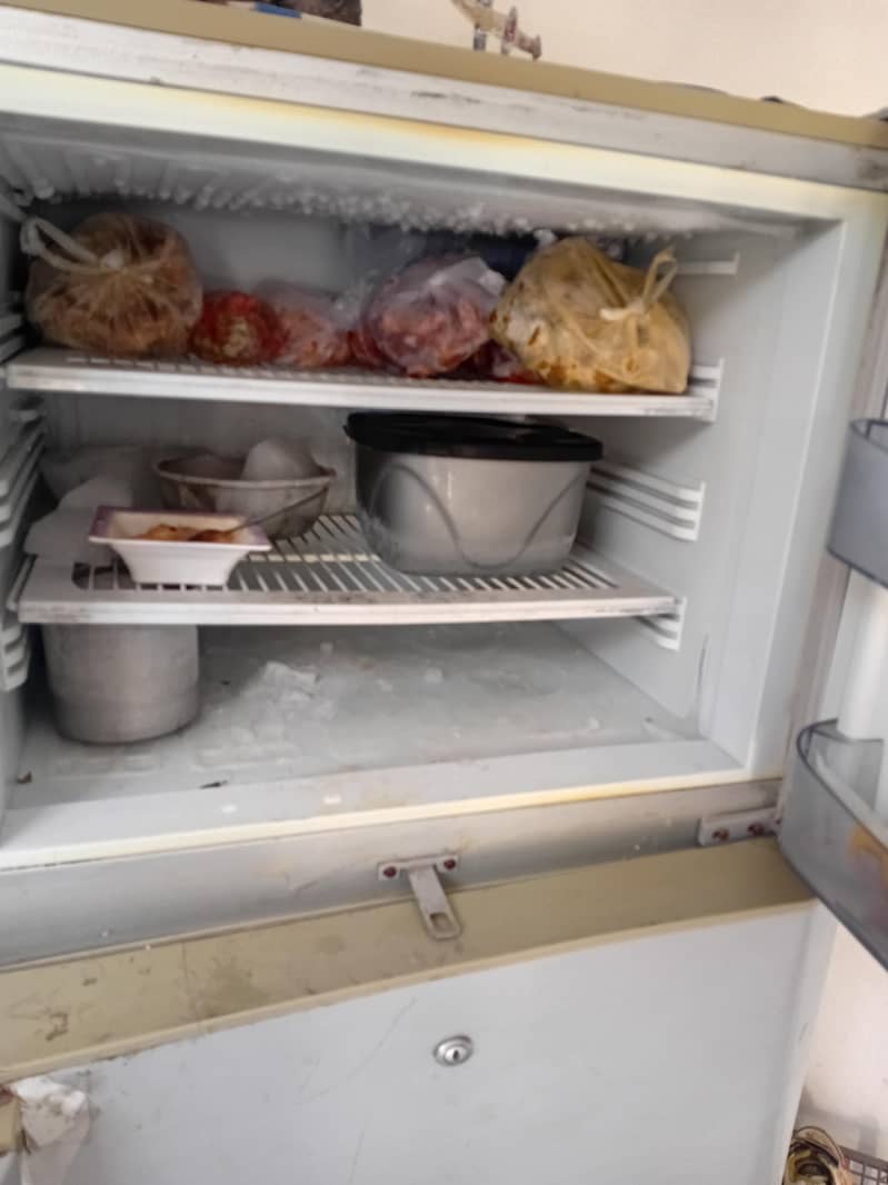 Old model medium size 1