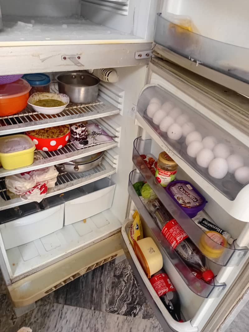 Old model medium size 2