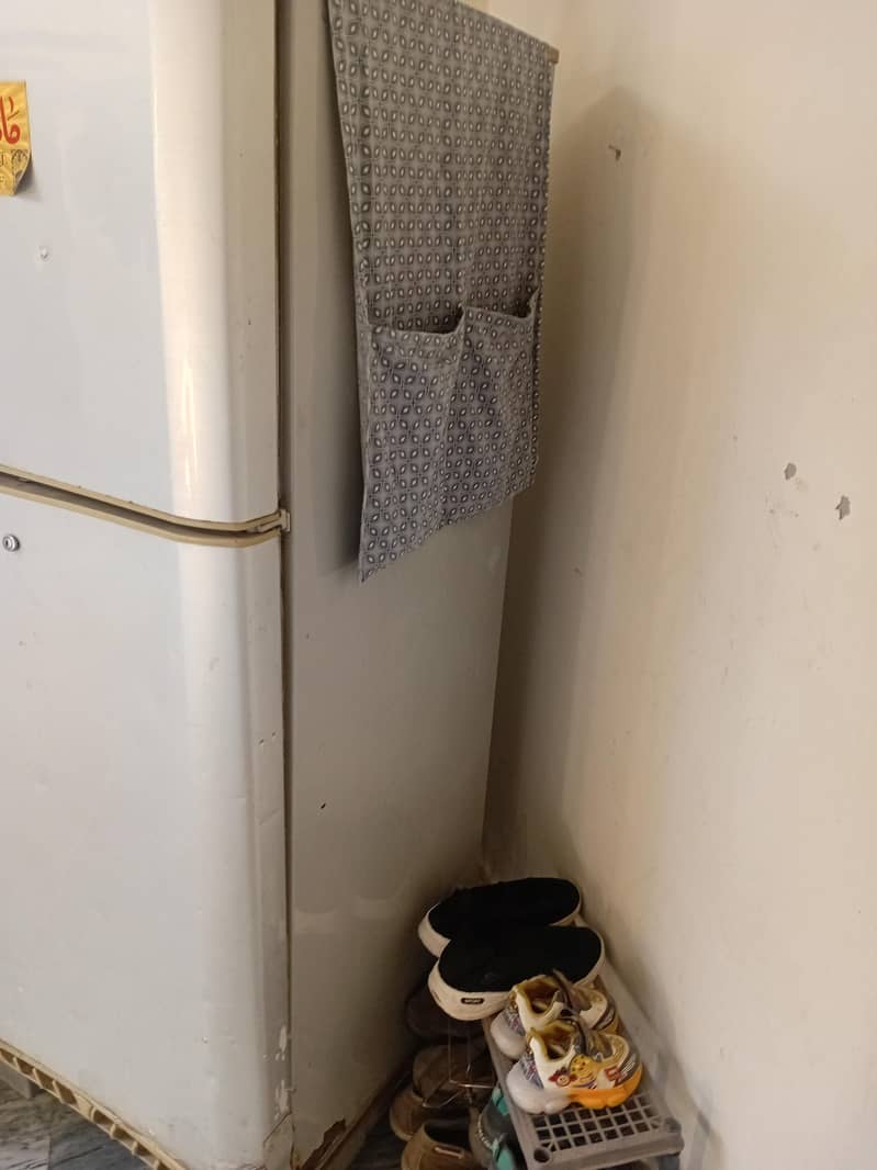 Old model medium size 3