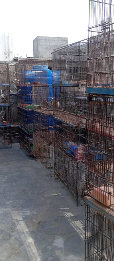 8 portion master cages