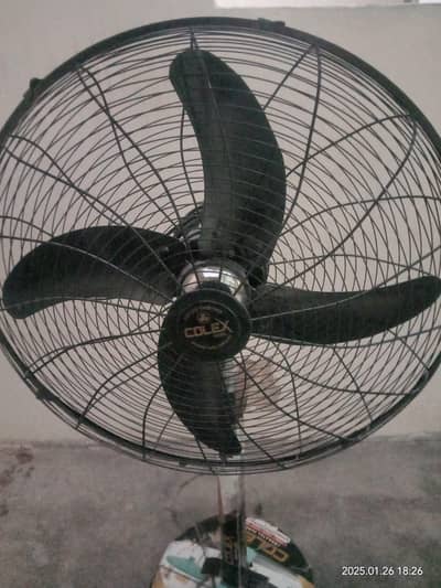 Full Size Pedestal Fan
