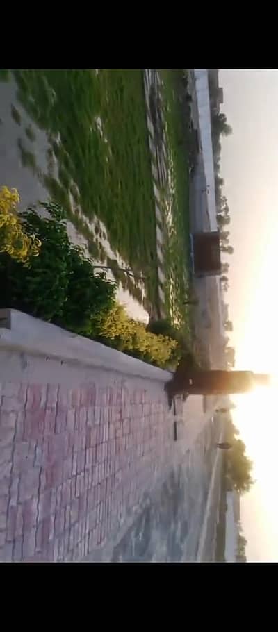 Shan homes full society on sale