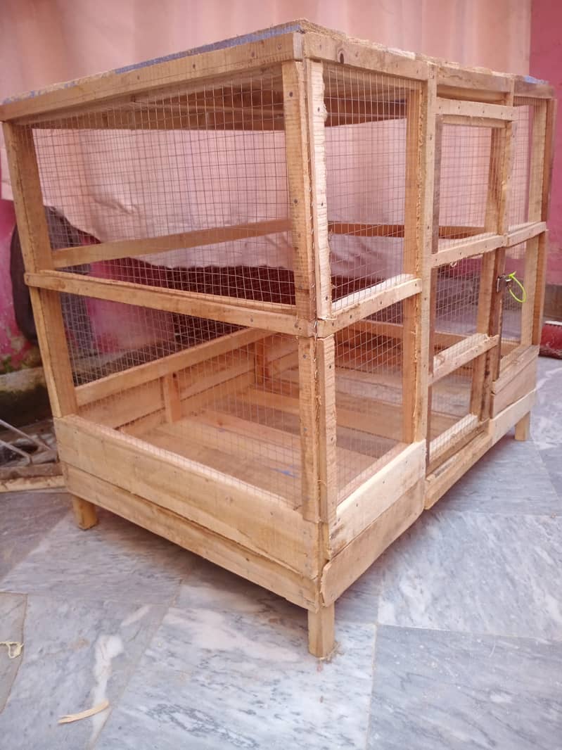 hen's cage 2
